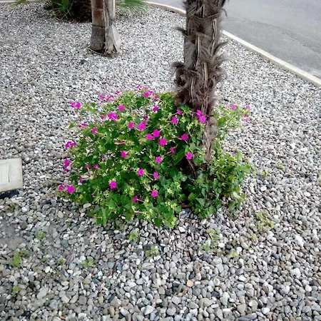 Apartmán Rivazzurra Beach